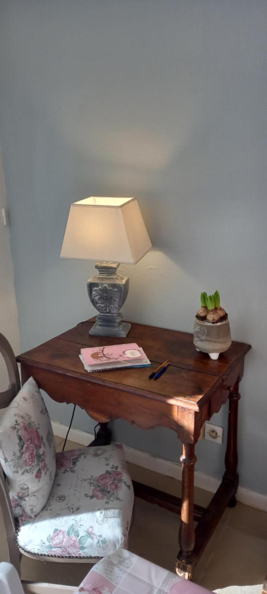 Les Demeures De La Laigne Bed & Breakfast Allas-Bocage Ngoại thất bức ảnh